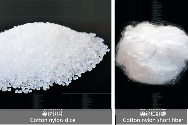 德潤參加展會現場一覽